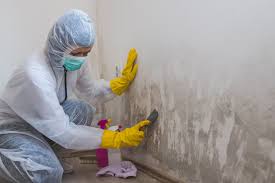 Best Forensic Mold Investigation  in Commerce, TX